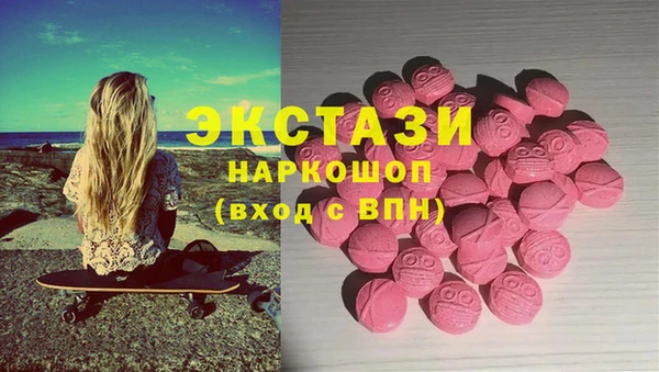 гидра Краснослободск