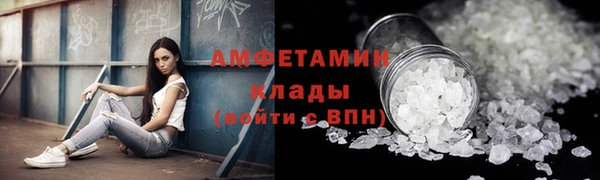 гидра Краснослободск