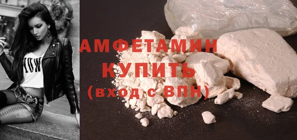 гидра Краснослободск