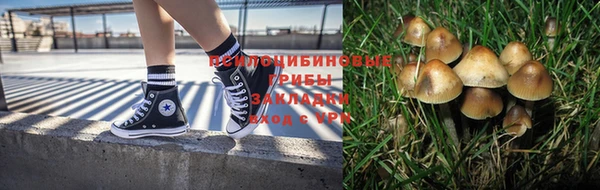 стаф Краснотурьинск