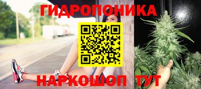 крисы Волгодонск