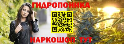 крисы Волгодонск