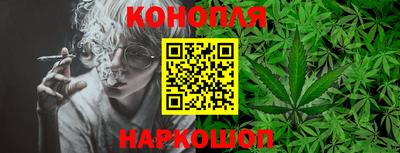 крисы Волгодонск