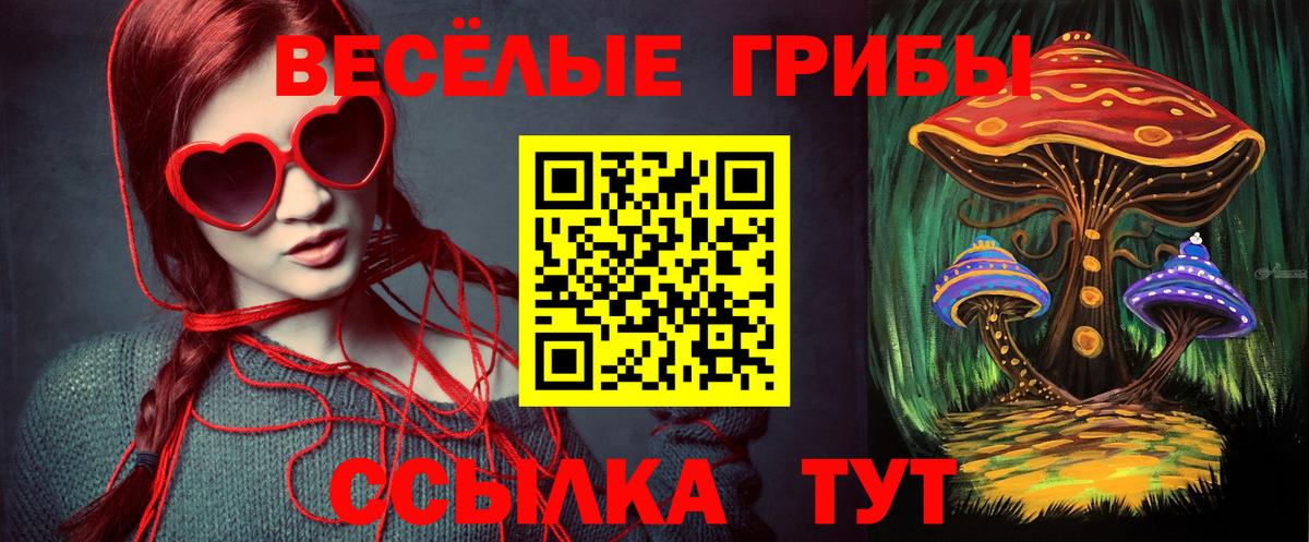 Галлюциногенные грибы Psilocybine cubensis  Вход с VPN  Нижний Тагил 