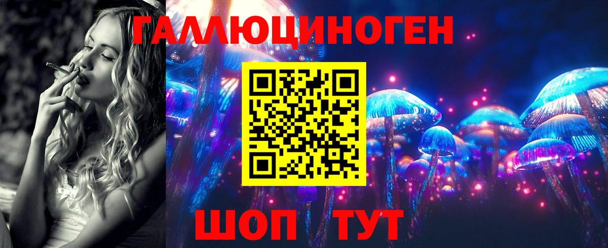 Галлюциногенные грибы Psilocybine cubensis Нижний Тагил
